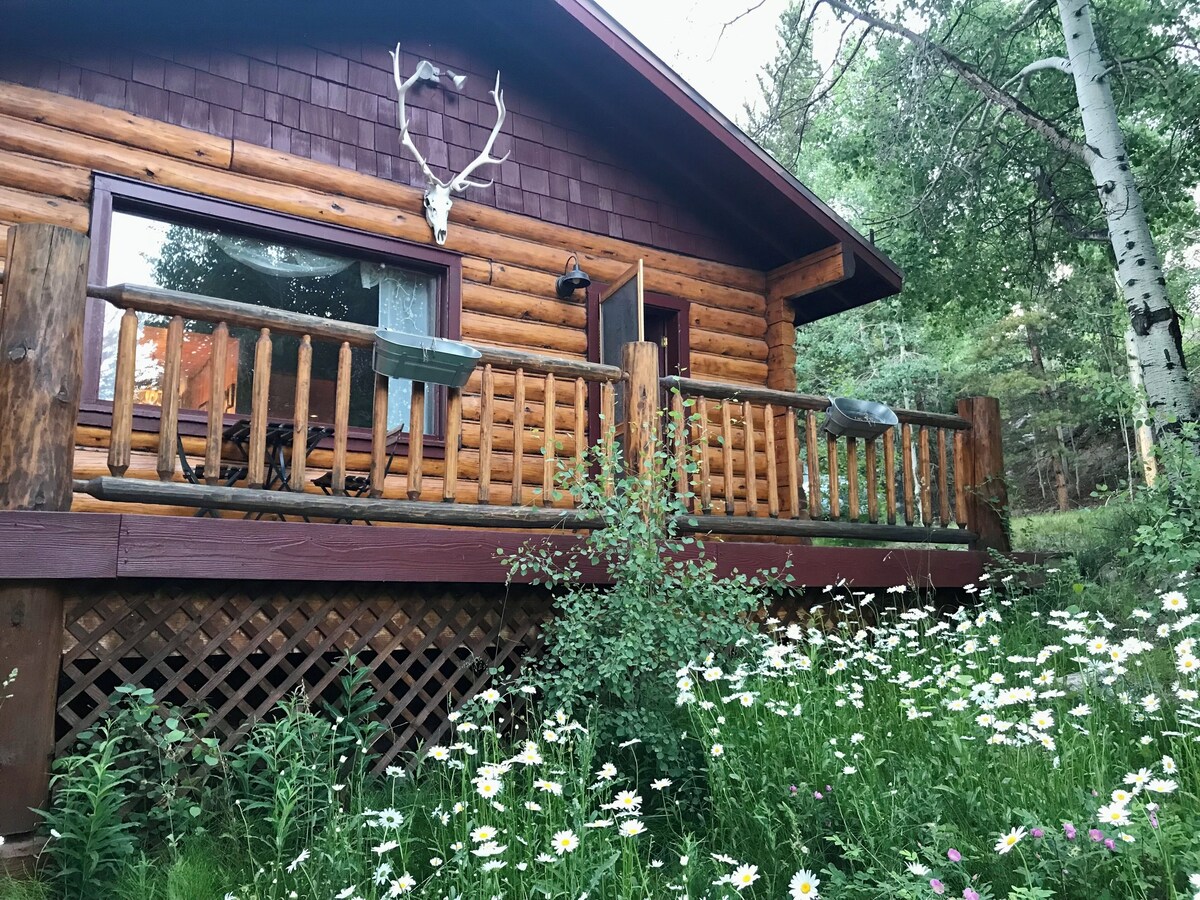 Værtens profilbillede