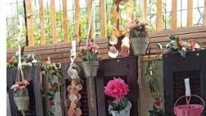A rustic building with wooden shutters and potted plants.