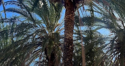 Maravilloso Apartamento A 1 Minuto A PIE DE LA Playa DE LOS Alamos-torremolinos