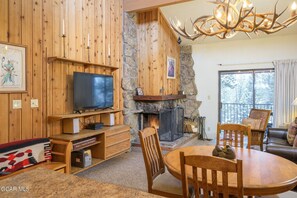 Smart TV, fireplace, DVD player, books