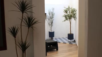 Business Room | Terrace/patio