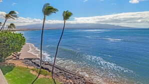 Une vue sur la côte, avec des palmiers, une plage et les vagues de l’océan.