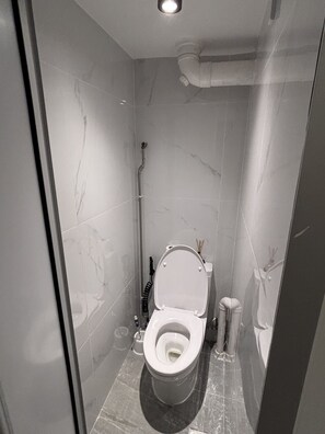 Shower, bidet, towels, soap