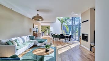 Televisie, een open haard, een dvd-speler en boeken