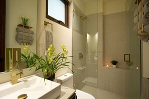 Douche, séchoir à cheveux, serviettes fournies