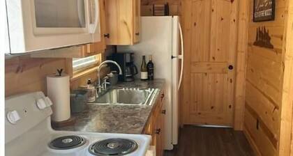 Down Horn Ranch-Raylee cabin