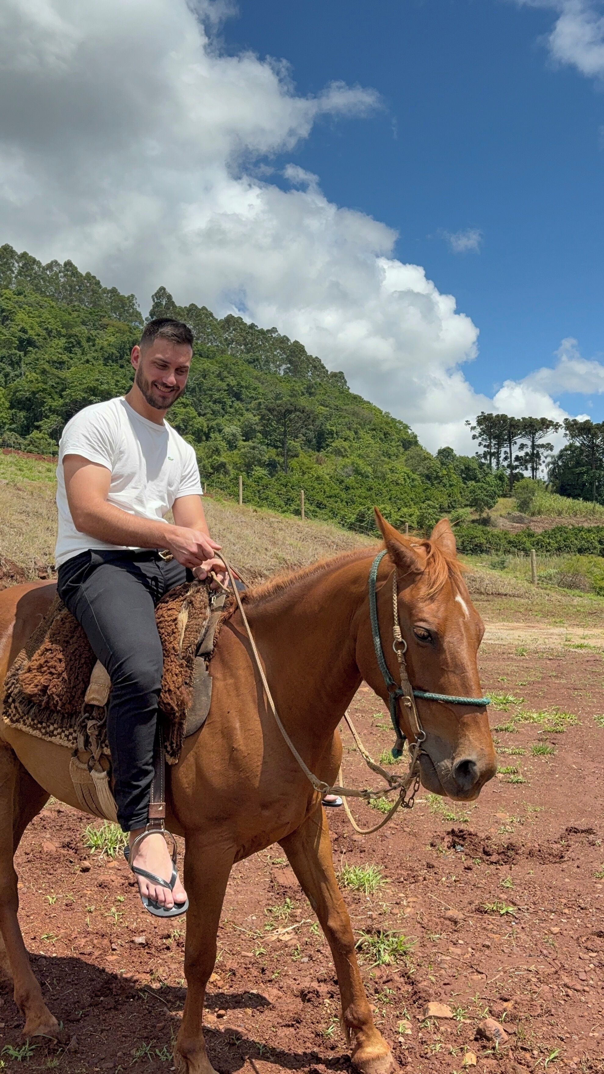 Uma pessoa a cavalo em cenário rural, com céu claro e colinas verdes ao fundo.