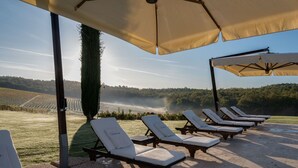 Eine Reihe von Liegestühlen unter beigen Sonnenschirmen, mit einem Weinberg und bewaldeten Hügeln im Hintergrund.