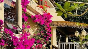 Een gebouw met balkons overwoekerd door felroze bougainvillea, een rieten dak en een trap die naar de ingang leidt.