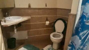 Shower, towels, soap, toilet paper