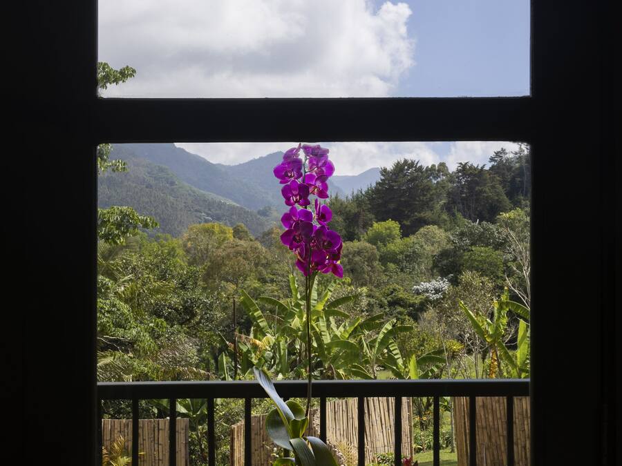 Un balcón con una orquídea en maceta y vistas a un paisaje montañoso.