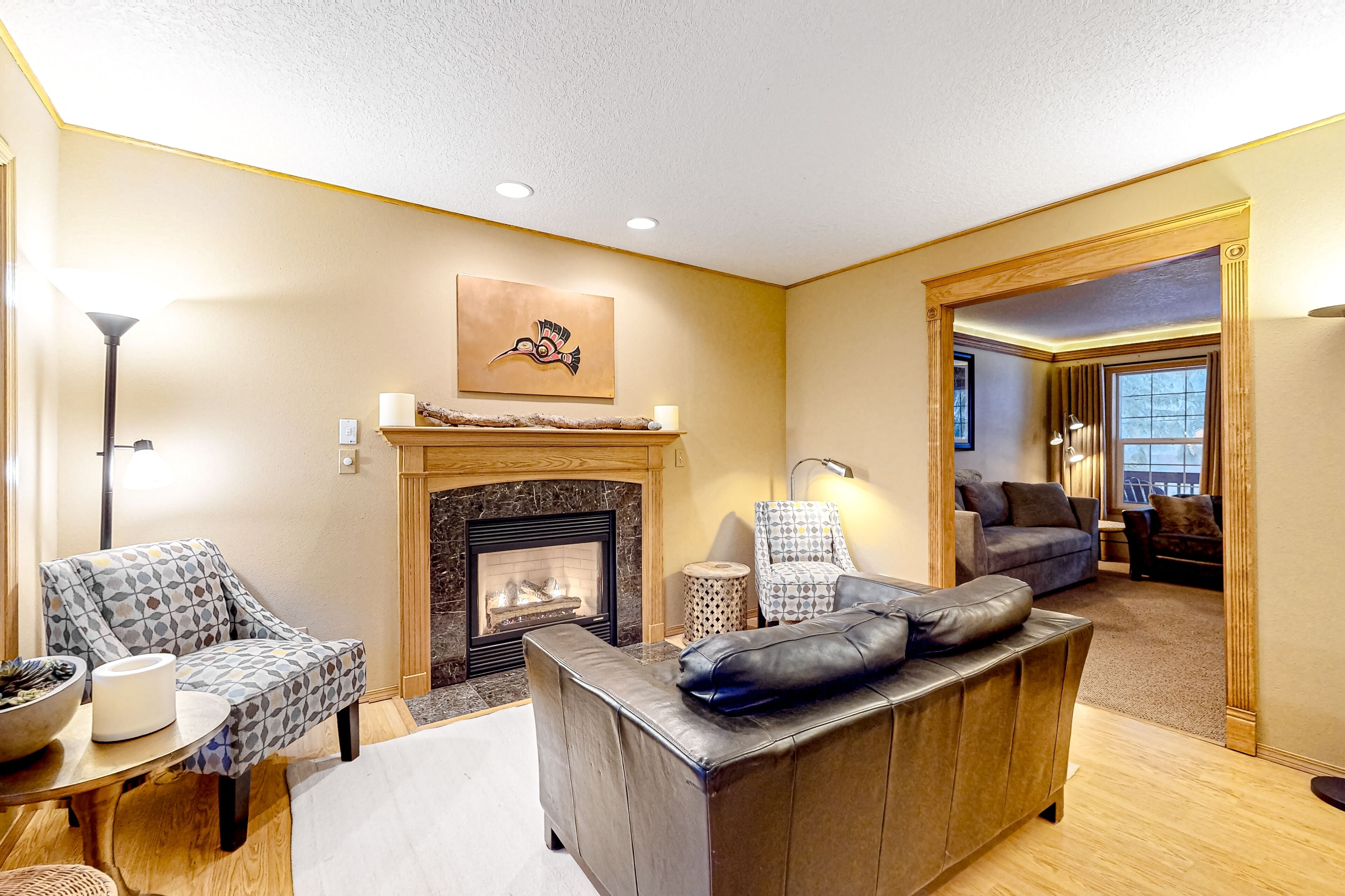 TV, fireplace, video games, books