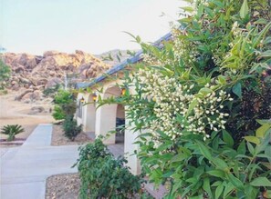 Overnatningsstedets område