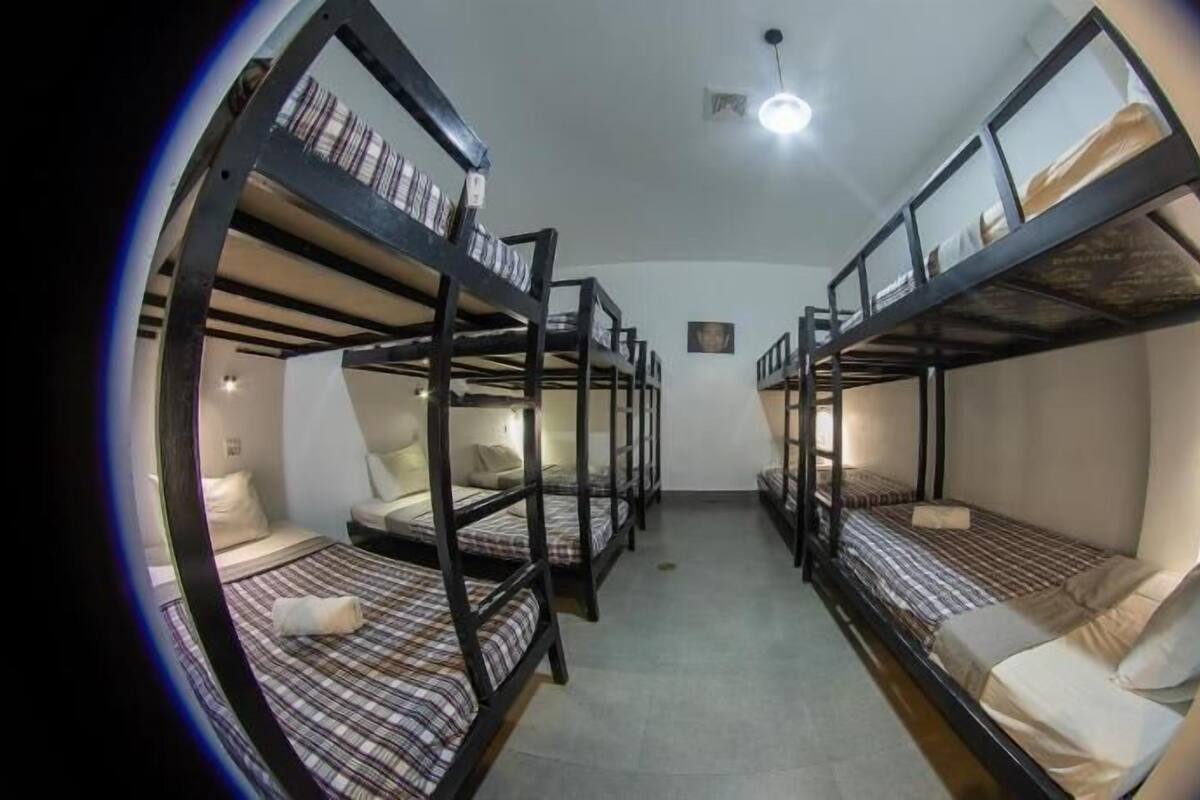 A dormitory room with bunk beds, a ceiling fan, and a small wall-mounted picture.