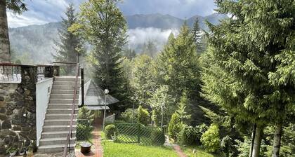 Vila Titulescu - Royal Chalet