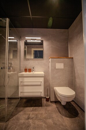 Features a standalone toilet, glass-enclosed shower, and large mirror above the sink.