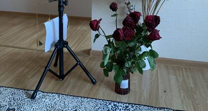 Cosy apartment near downtown and airport