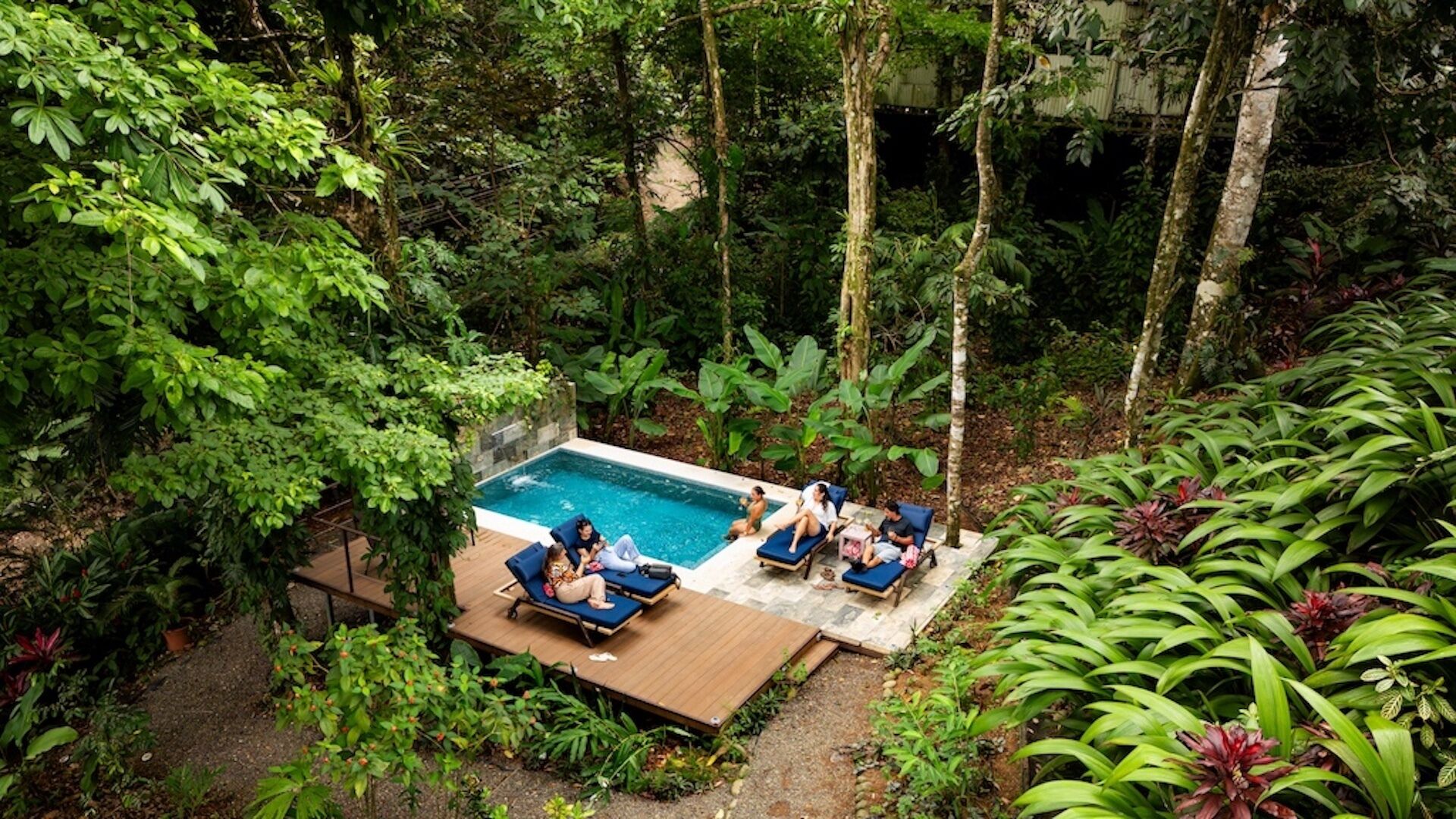 A pool surrounded by lush greenery, with lounge chairs and a wooden deck.