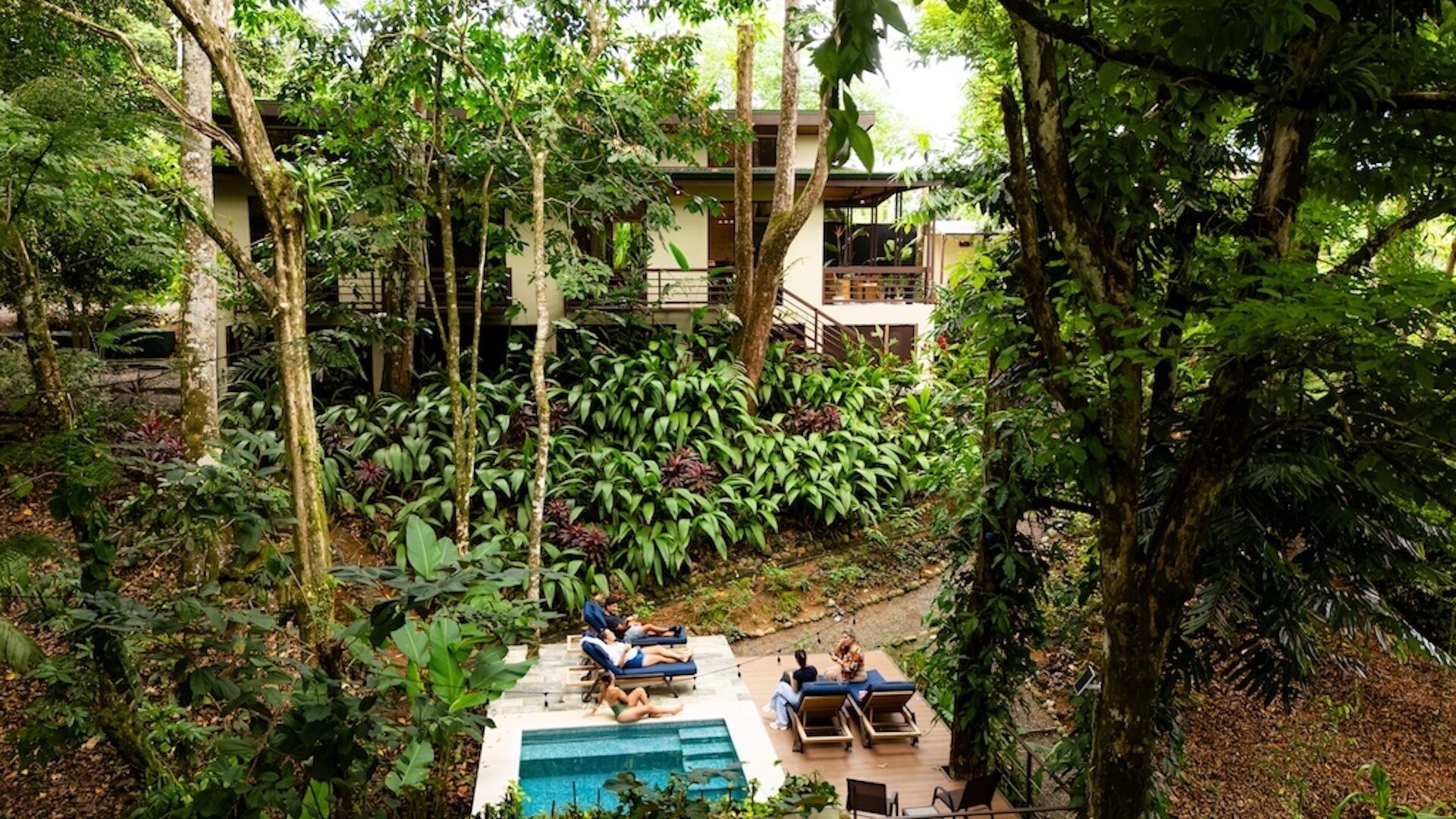 Un espace piscine entouré d’une végétation tropicale luxuriante, avec des chaises longues et un bâtiment en arrière-plan.