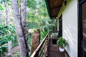 Property grounds - Jungle Oasis in Uvita: Mountain Views, Near Beach & National Park Adventure! (Provincia de Puntarenas)