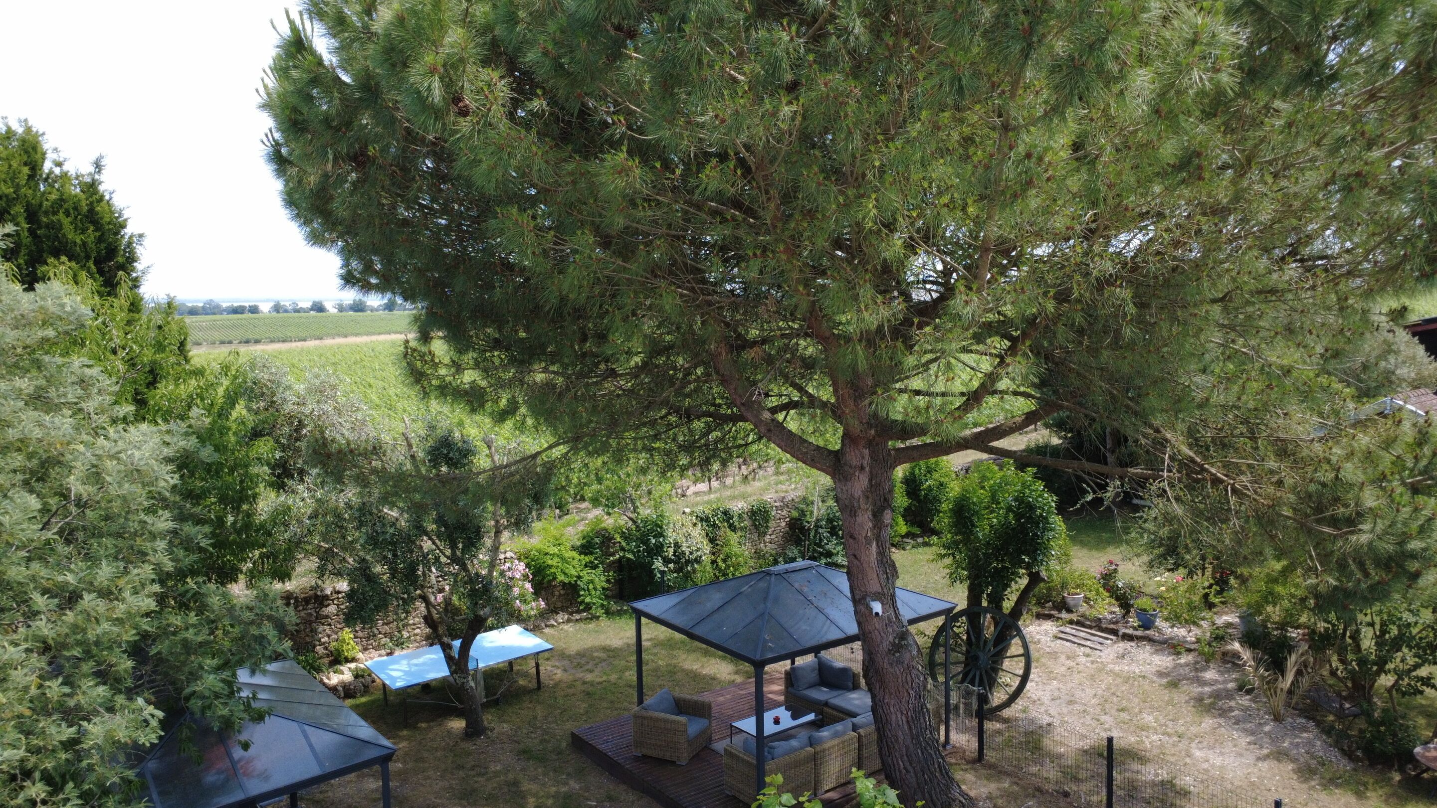 Un grand arbre avec un belvédère et un espace de détente extérieur.