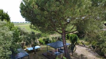 Un grand arbre avec un belvédère et un espace de détente extérieur.