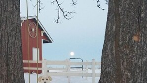 A dog sitting in a snowy area with a red building and a white fence in the background.
