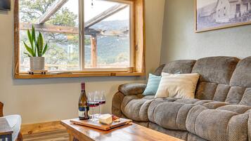 TV, fireplace, books
