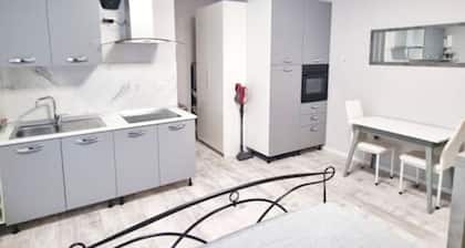 Apartment near subway, hospitals, offices