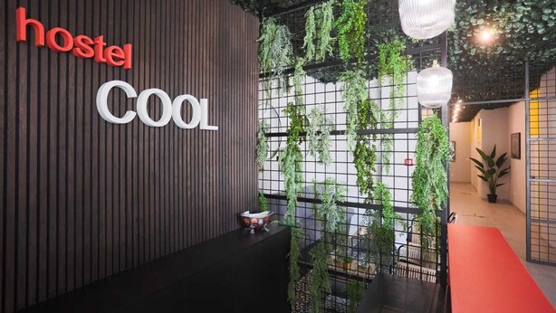 Interior modern d'un hostal, amb panells de fusta verticals, un cartell que diu 'hostel cool', plantes penjants i una catifa vermella.