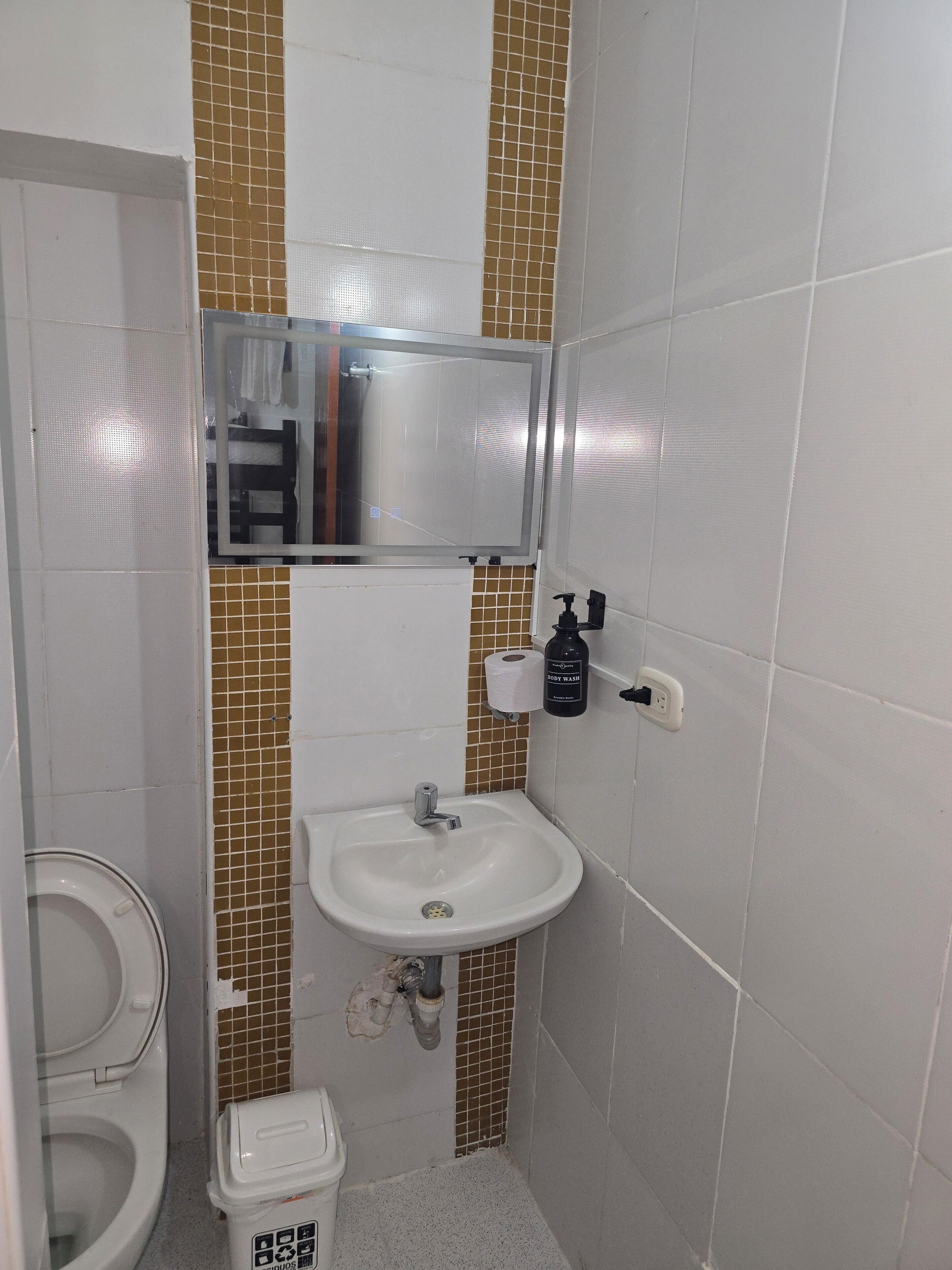 A small bathroom with a white sink, a mirror, a toilet, and a trash bin.