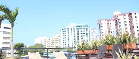 Una terraza en la azotea con sillones de descanso, una planta grande en maceta y vistas a edificios altos.