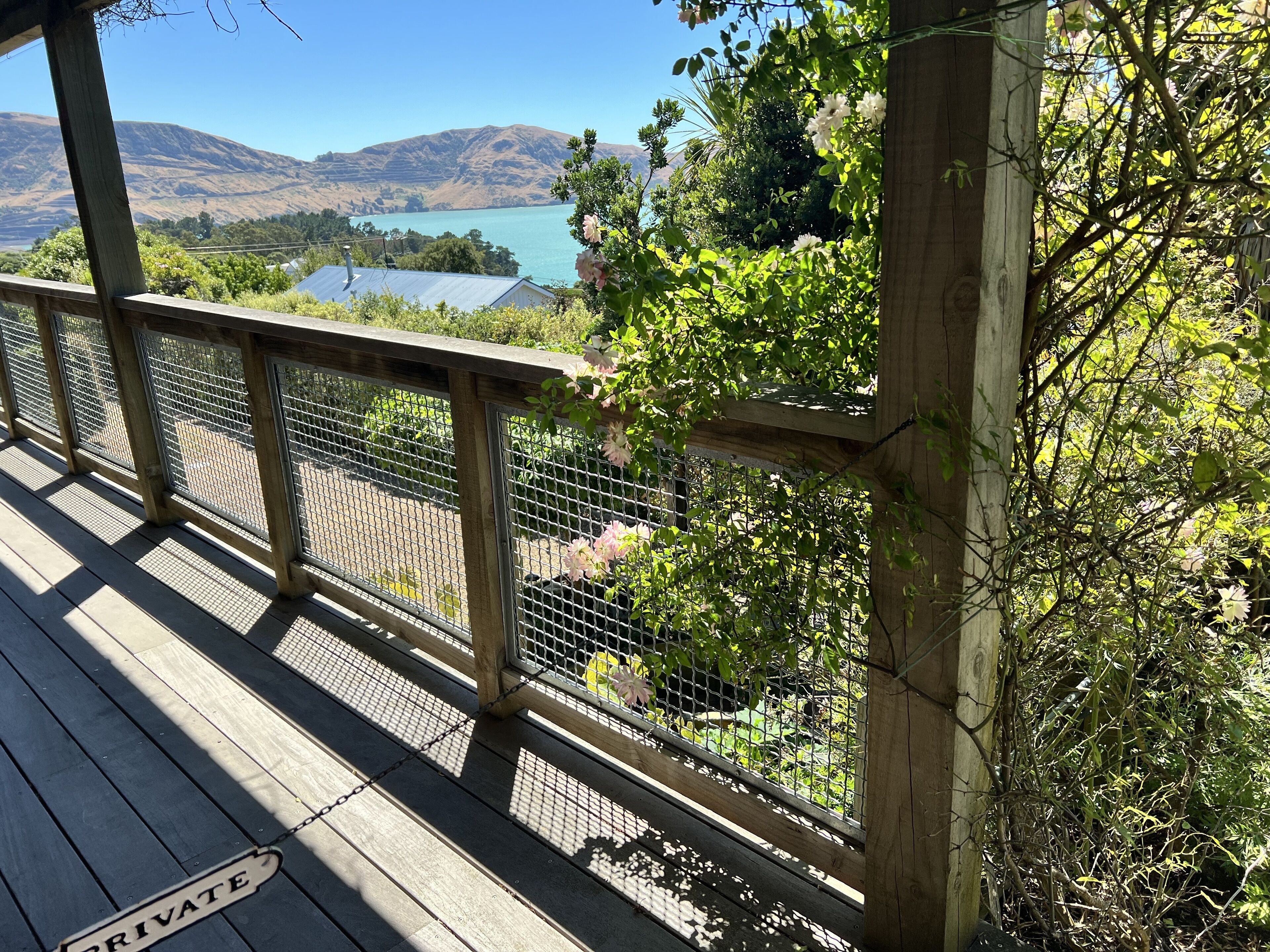 View from Balcony