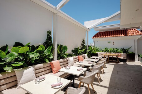 Alma San Juan - Image 14