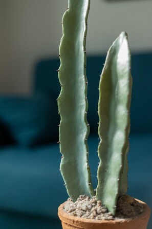 Interior detail - Suite Basquiat - 2 Personnes A 2 Minutes à Pieds de L'avenue de Champagne ! (Épernay)