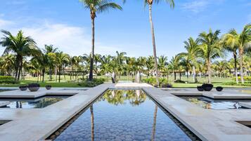 A pool area with palm trees and a clear sky.