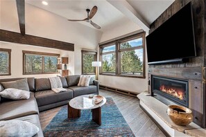 TV connectée, cheminée, espaces bureaux