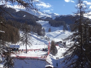 Sne- og skisport