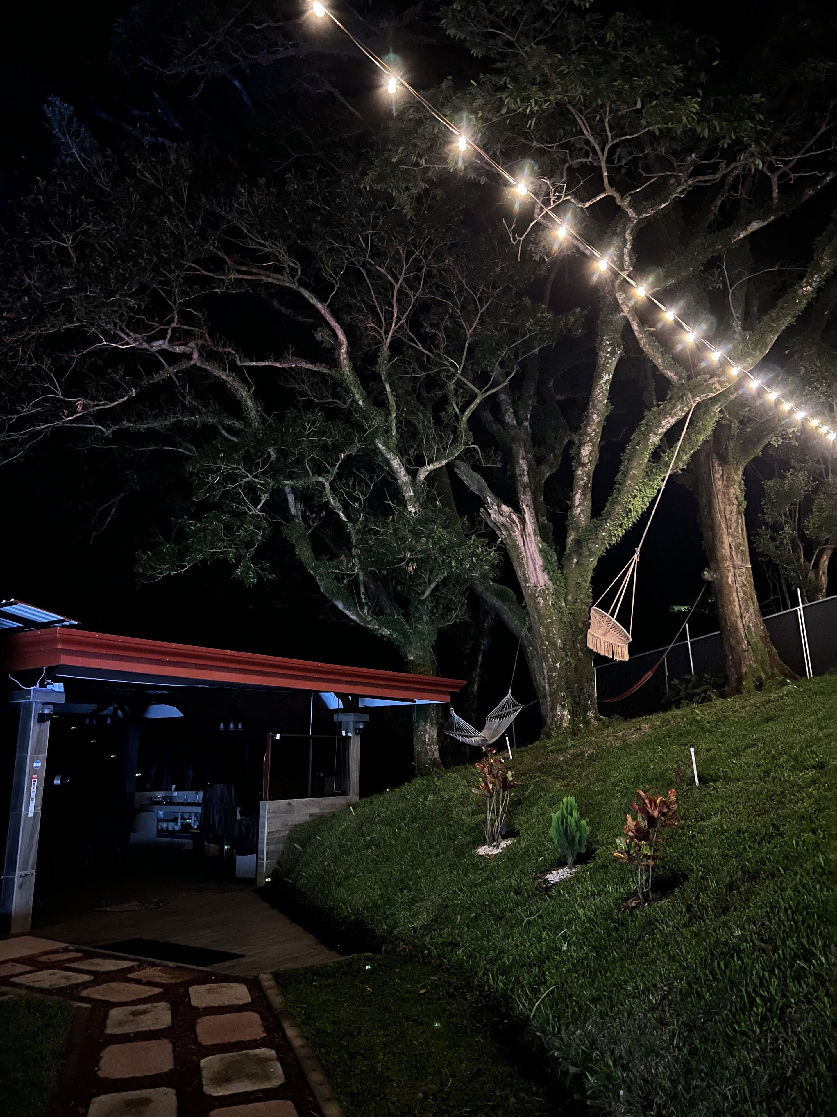 A tree with string lights, a hammock, and a building entrance.