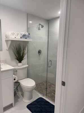 Hair dryer, towels, soap, shampoo