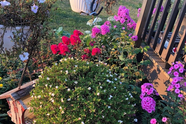 Áreas de la propiedad