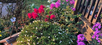 NEWLY Updated house 3 min to Lake Cadillac & Mitchell, KING bed. Lots of parking