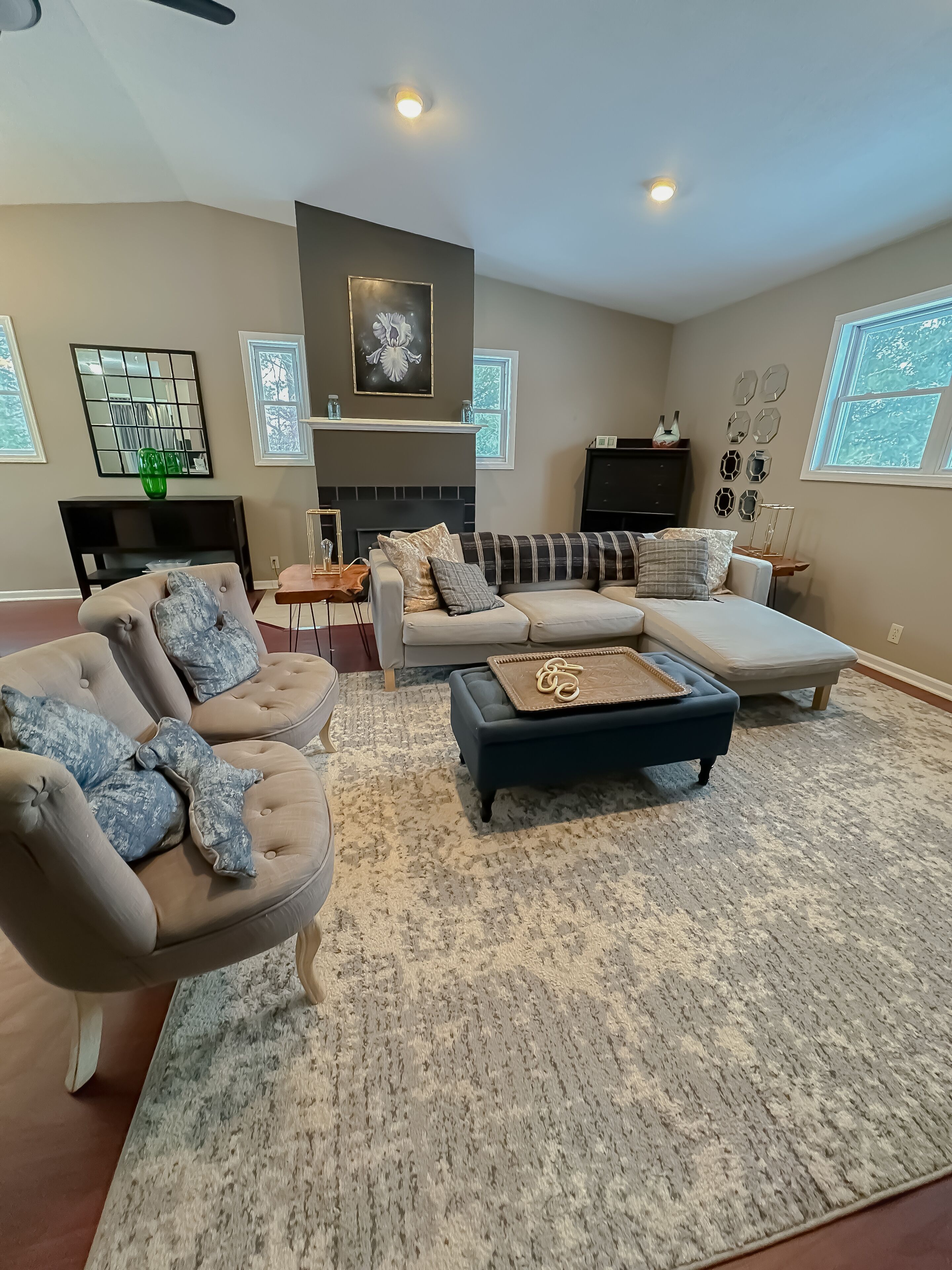 Smart-tv, pejs, bøger