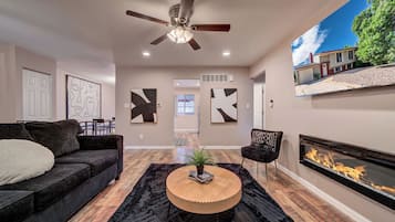 Smart TV, fireplace, books