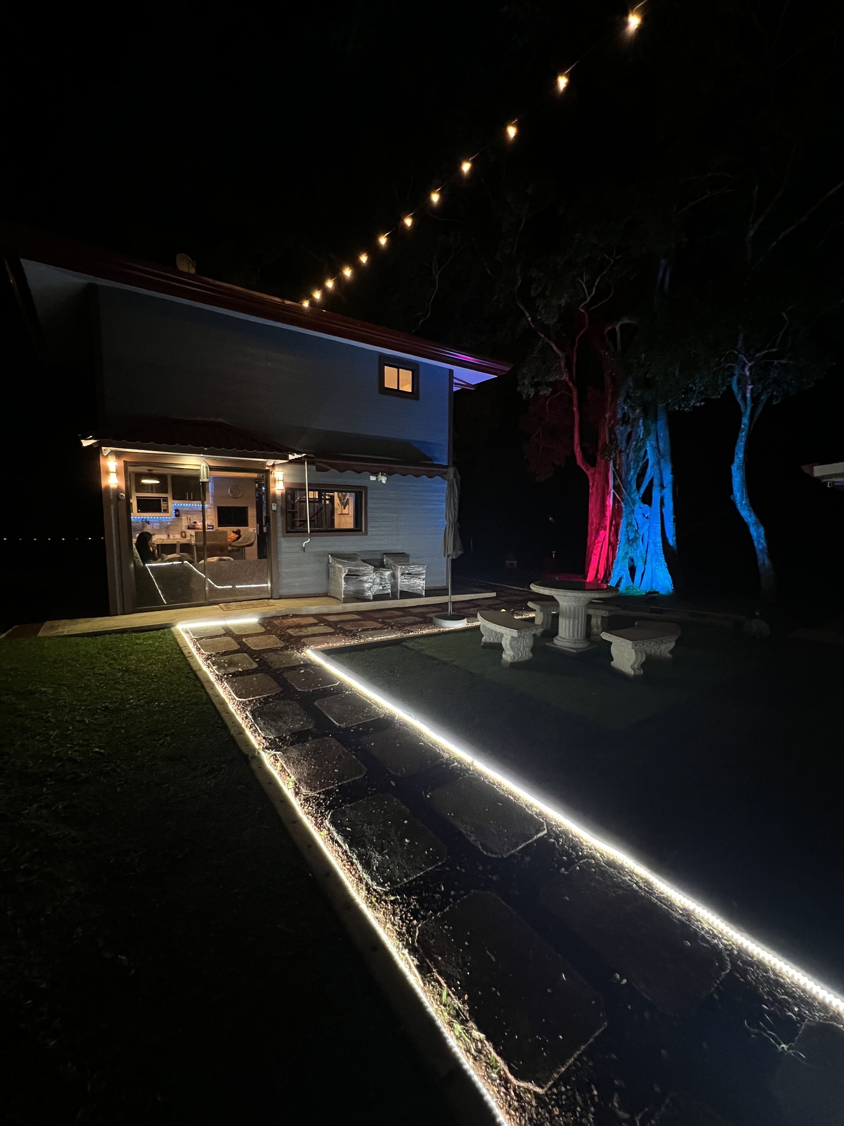 Uma casa moderna com área de pátio, iluminação externa e uma árvore com galhos iluminados.