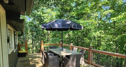 Cozy and Private Gem Cabin in the Smoky Mtns of NC, dog friendly, great views!