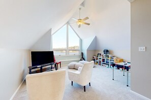 Televisión, chimenea y libros