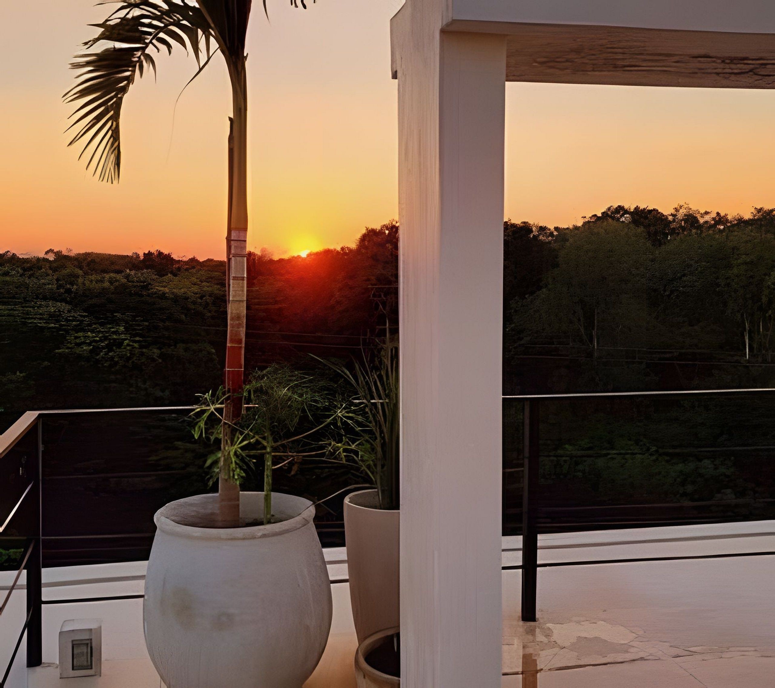 Een balkon met uitzicht op de zonsondergang, een hoge palmboom en twee planten in potten.