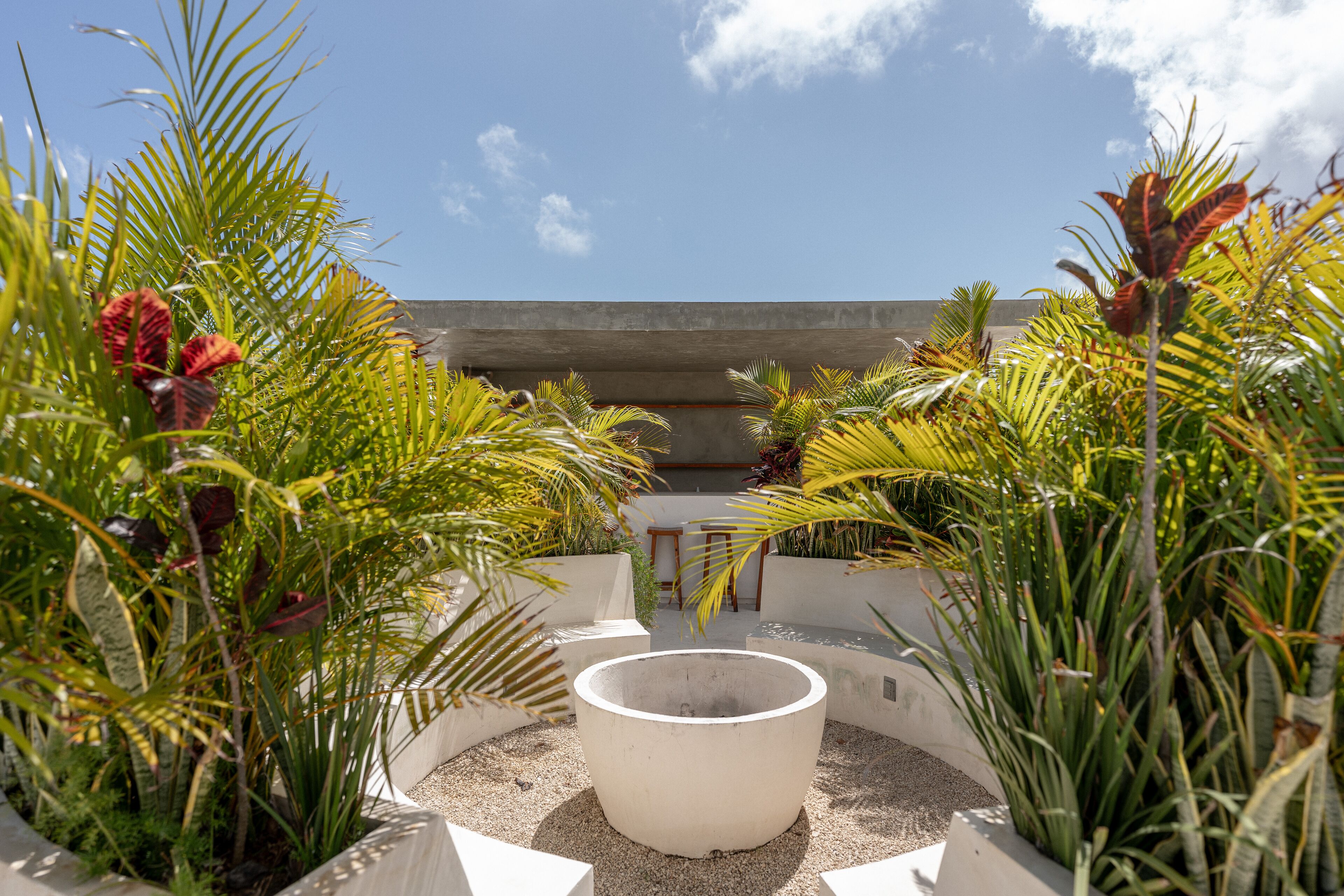 A circular concrete planter surrounded by various tropical plants, with a concrete bench and table in the background.