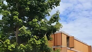 Un edificio con tetto piatto e un grande albero di fronte.